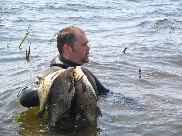 река Сазанка, лещи