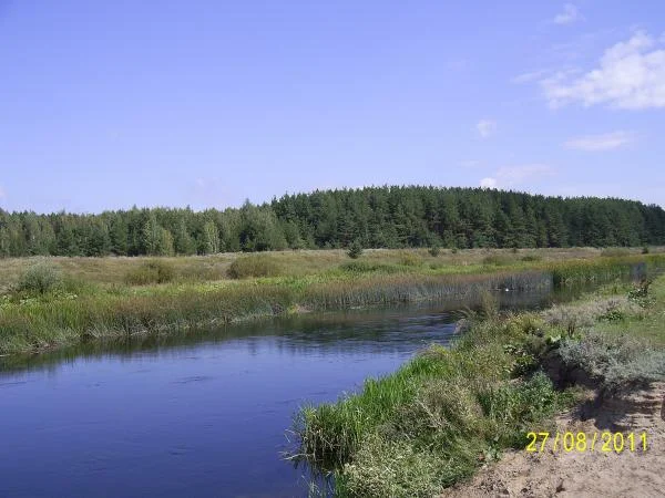 река в Кривце