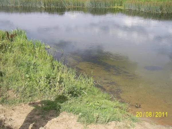 река
