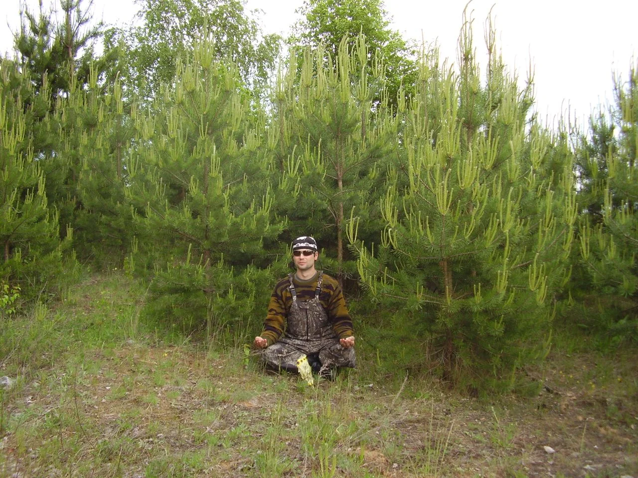 Рыбинка.Июнь 2008. Река Молога