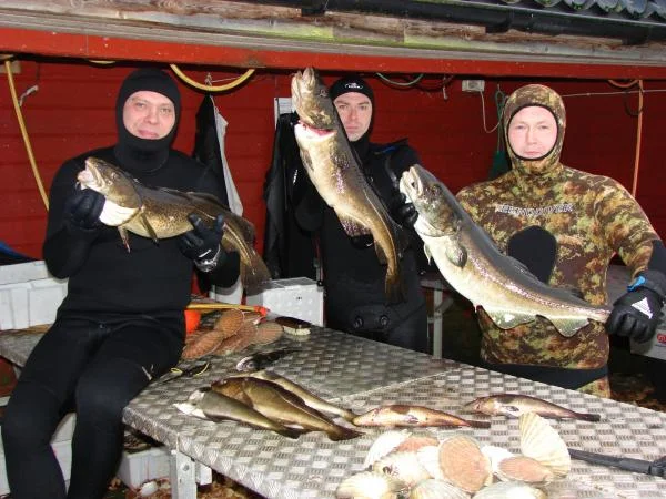 Рыбки