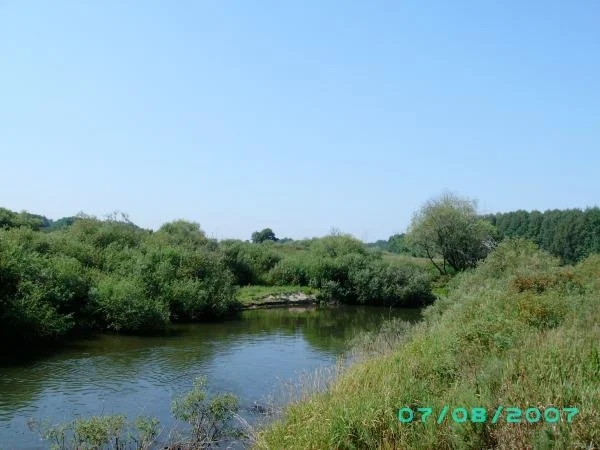 SANY0158