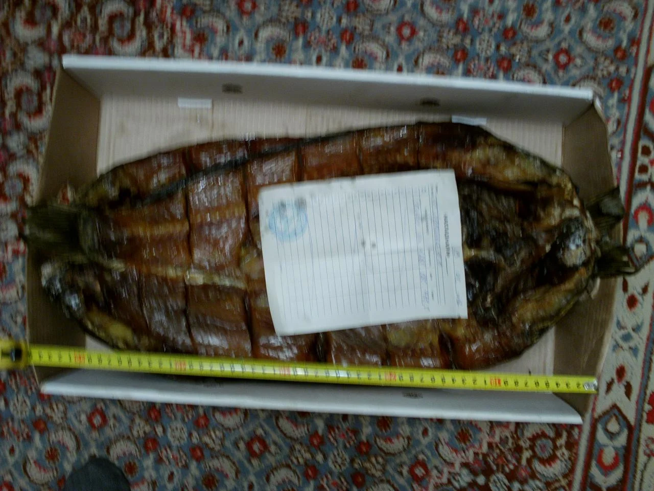 сазан