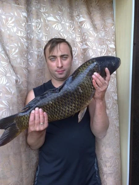 сазан