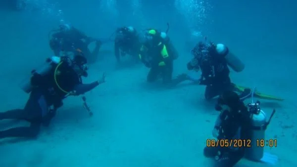 Сдача экзамена AOWD Deep проверка адекватности)))