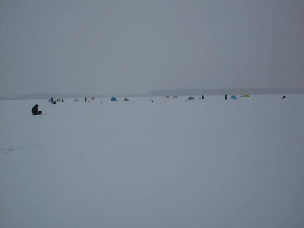 SDC10245