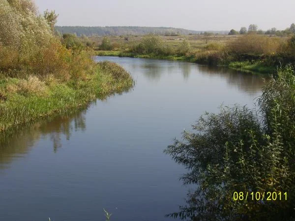 село Кривец