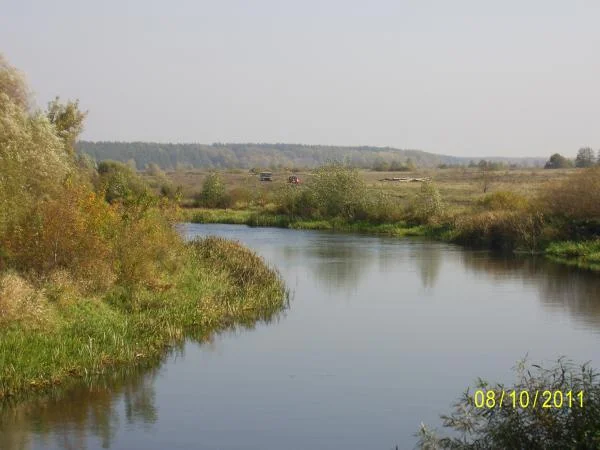 село Кривец