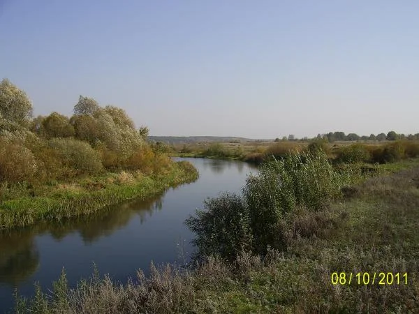 село Кривец