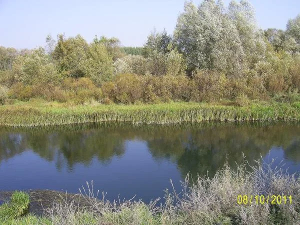 село Кривец