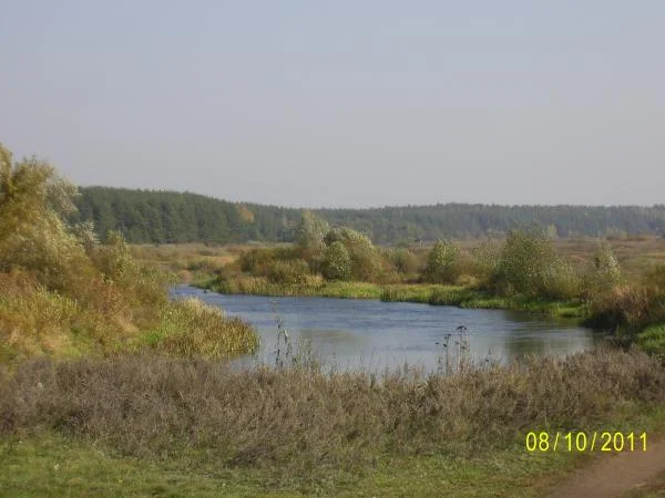 село Кривец