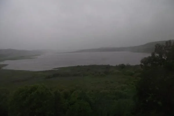 Серость