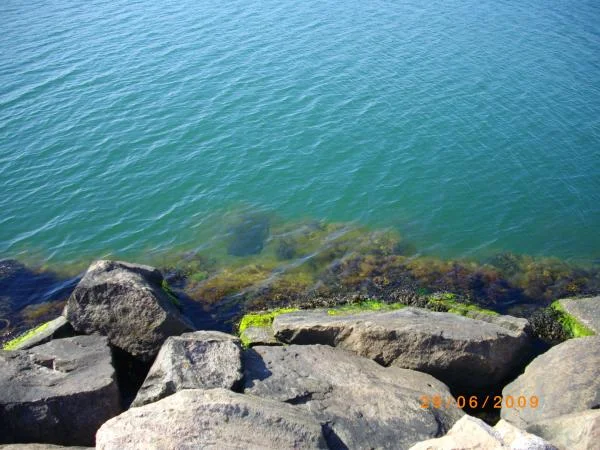 Северное море.