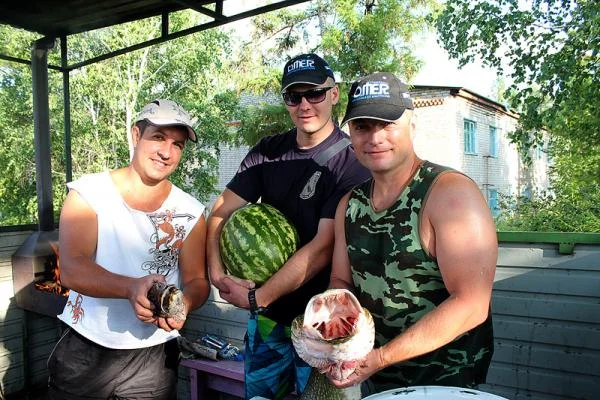 щука в арбузах