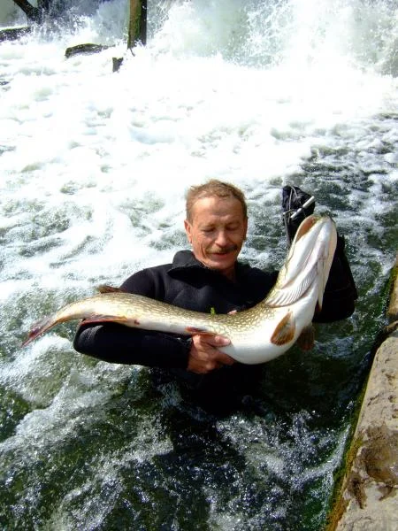 щука