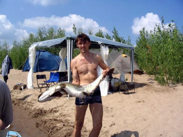 щукерс на 10 200