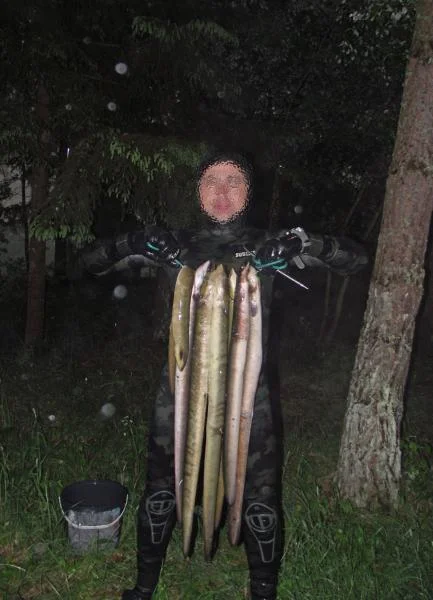 Шнурки