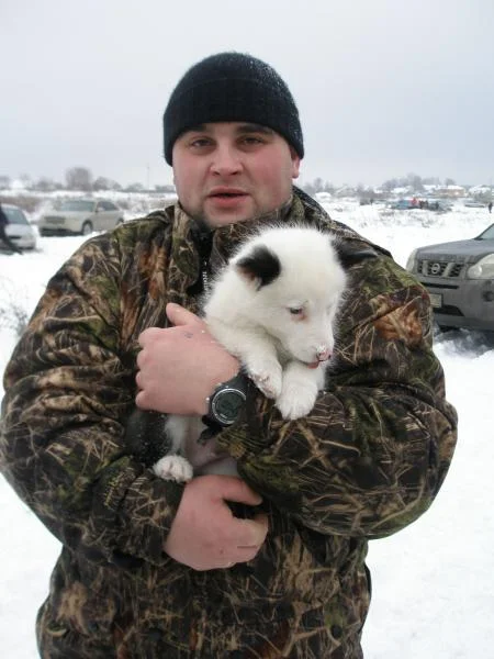 Собакин всех очаровал)