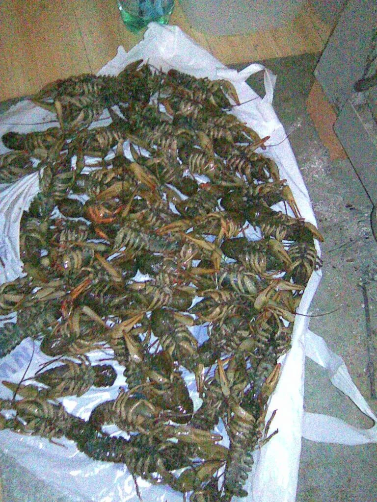Собрались пивка попить.