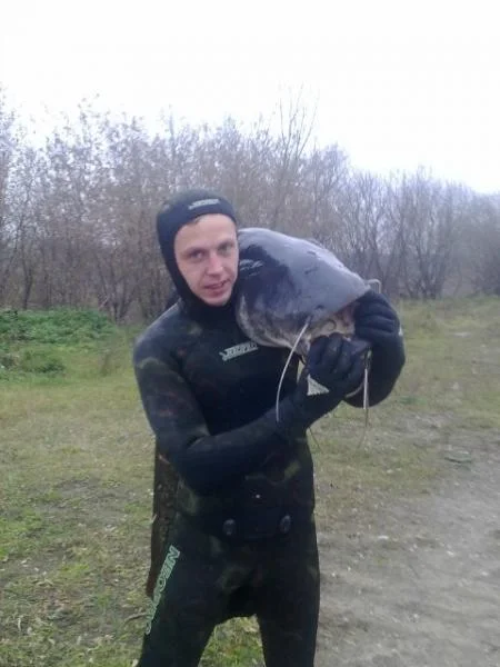 Сом!