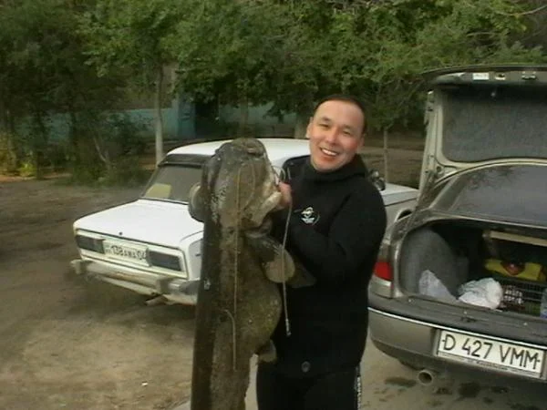 сомик 22кг