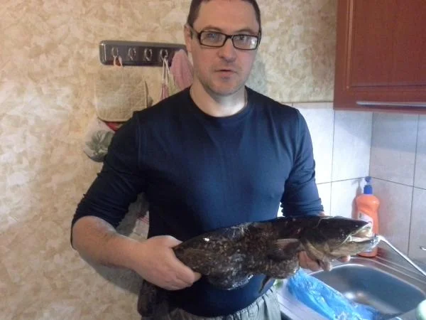 Сомик на 3 кг