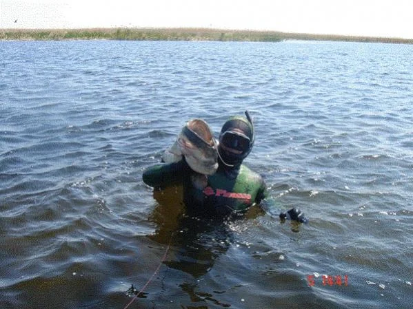 Сомик