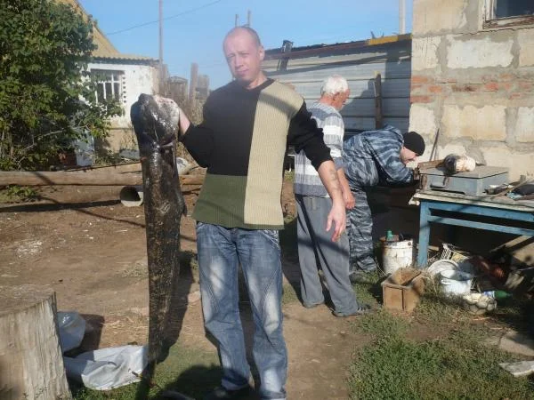 Сомик