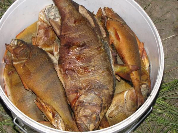 спасибо ребятам за копченого окуня- вкусняшка ммммммммммммм))))
