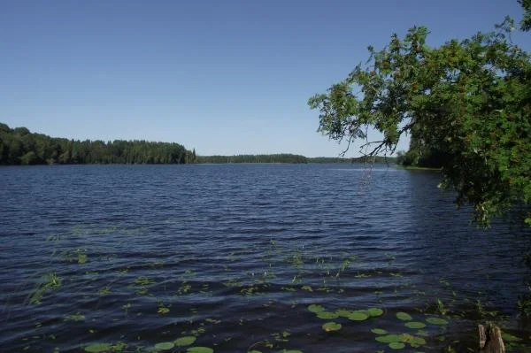 Светлая вода