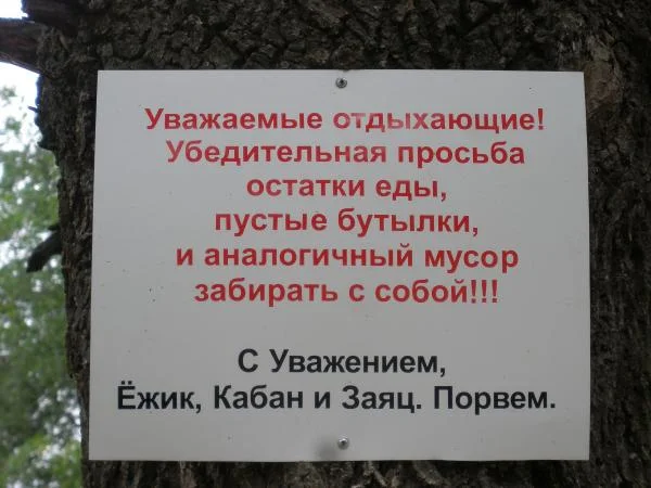 свинкам на заметку!