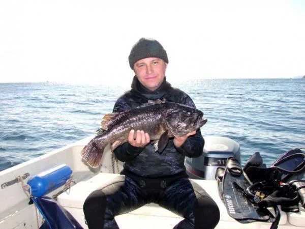 Темный окунь 3,1 кг. Приморский край, о. Русский, осень 2007.