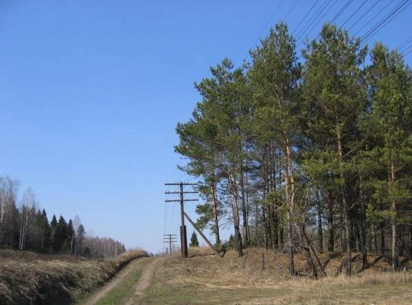 Тишина.