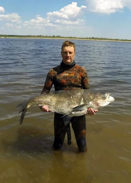 Толстолоб 33кг