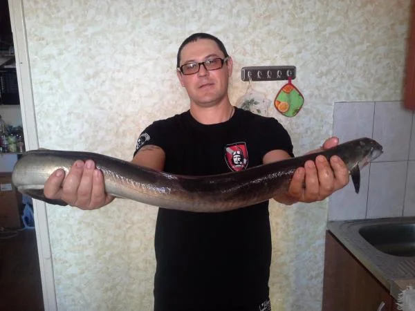 Угорь 2, 300