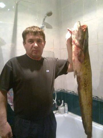 уже сом.. 7 800