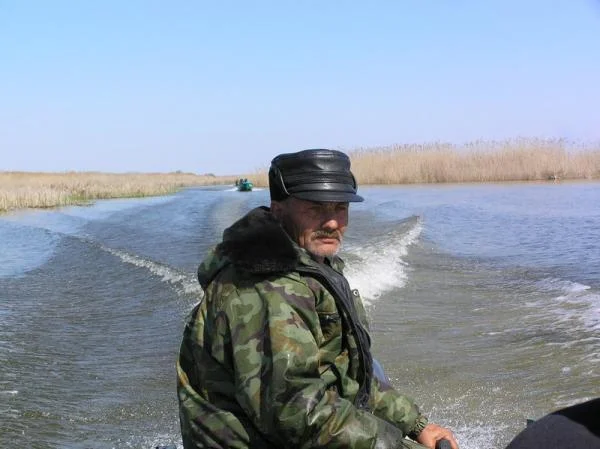 В кильватере