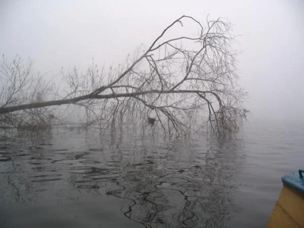 в ноябре на волге