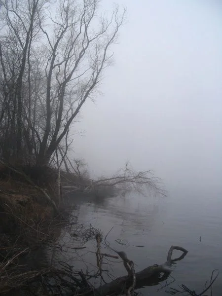 в ноябре на волге2