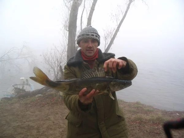 в ноябре на волге3