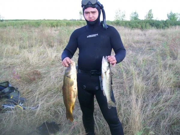 В займище