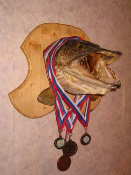 вешалка