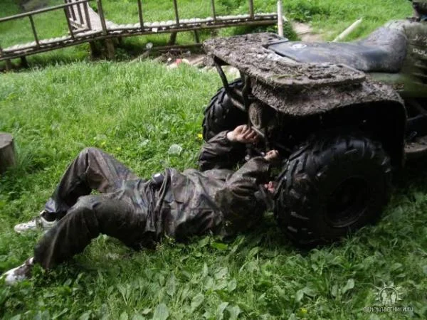 Весна в лесу