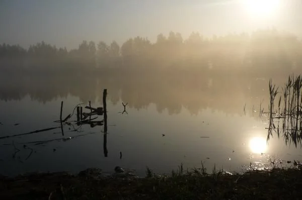 волга.