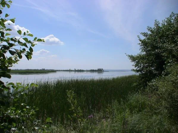 Волга