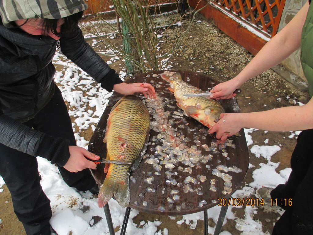 Волгоград