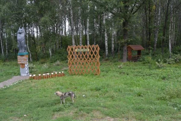 Вот он Тамбовский Волк