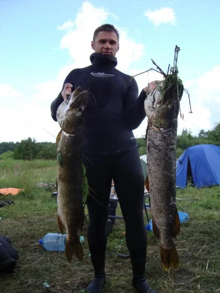 вот такие бывают крокодилы 6,5 и 10ка