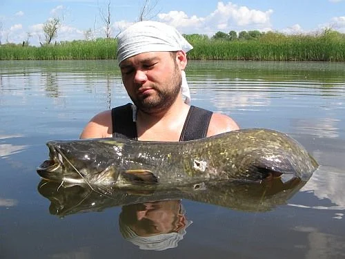 ВСЕ СПЯТ