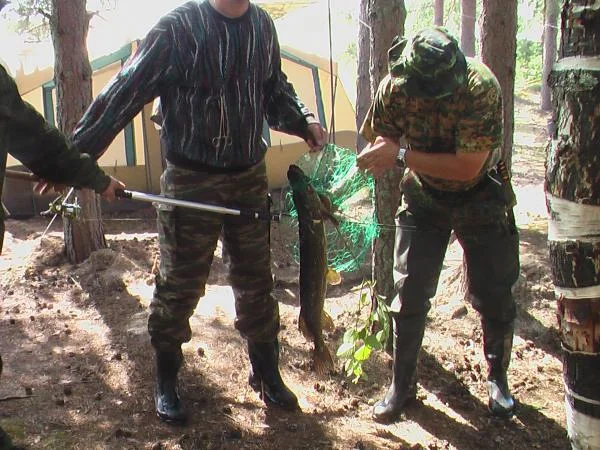 Всего 4 кг